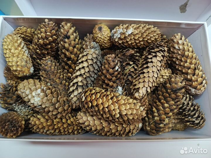 Природные материалы для творчества