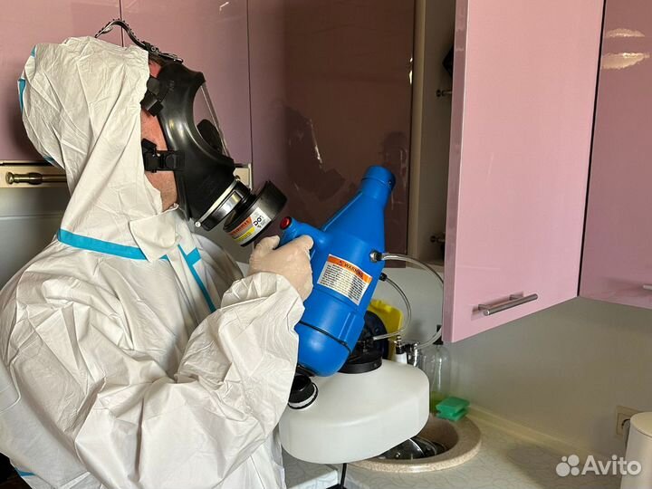 Дезинфекция уничтожение тараканов клопов плесени