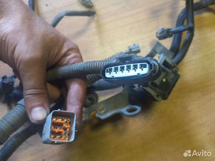 Коса проводки двигателя subaru tribeca 3.6