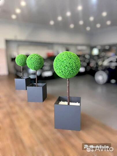 Самшиты искуственные 10-12 см