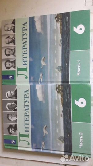 Учебники за 6и 7 класс в двух частях