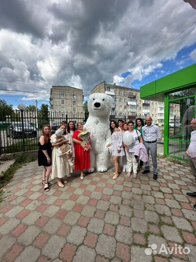 Белый мишка Тимон