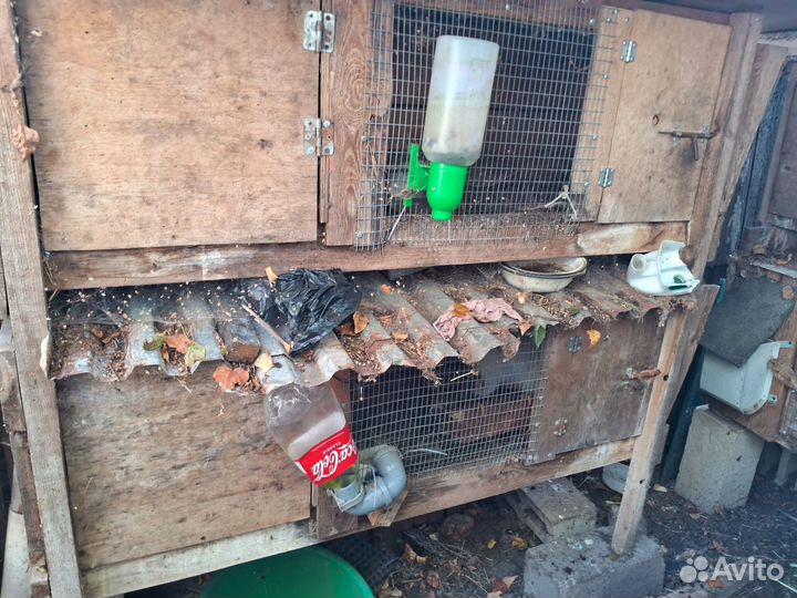 Клетка для кролика