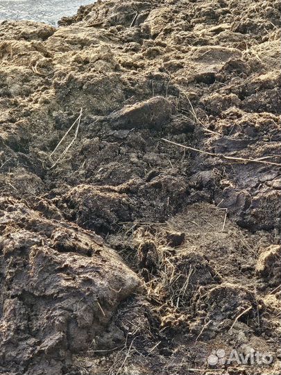 Навоз коровий