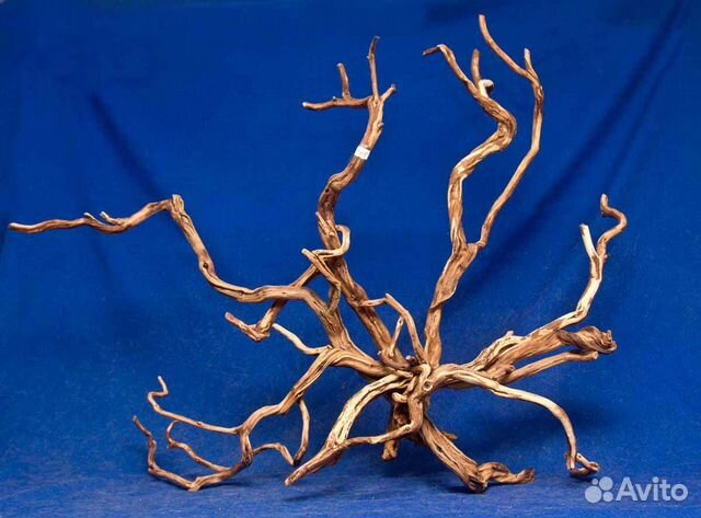 Коряги для аквариума и декора купить в Санкт-Петербурге | Животные и ...