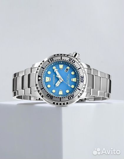 Мужские наручные часы Citizen Promaster BN0165-55L