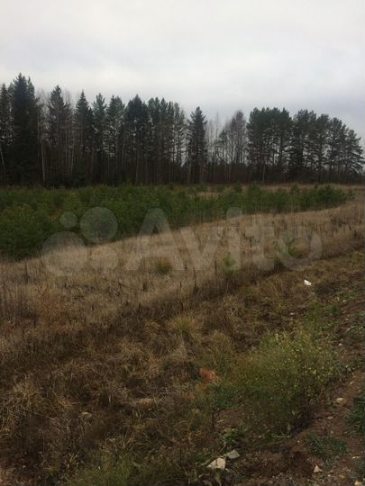 Участок 7,55 га (СНТ, ДНП)