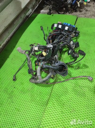 Проводка подкапотная двигателя Kia RIO