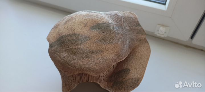 Домик для черепашки