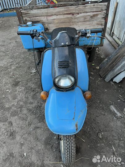 Продам муравей