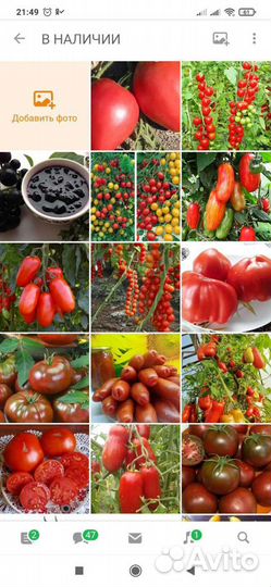 Семена томатов