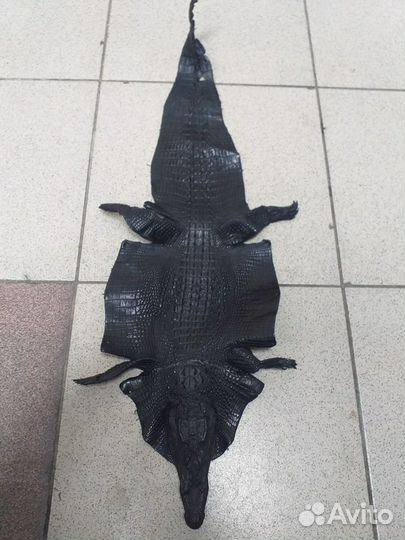 Шкура каймана крокодила