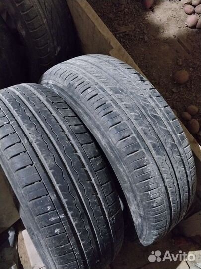 Alaska 260 195/65 R15