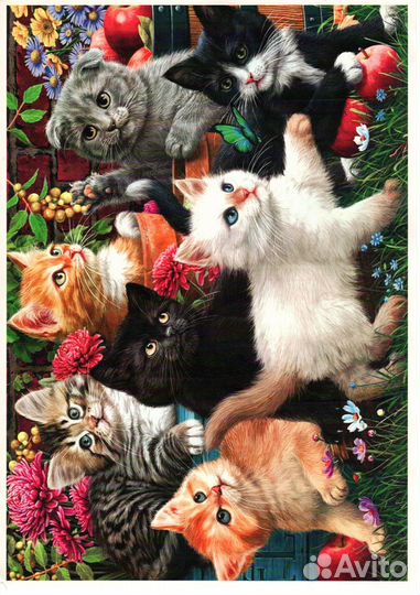 Hp cp4025dn+картриджи