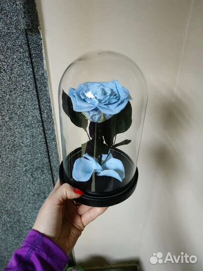 Голубая роза в колбе, арт 24