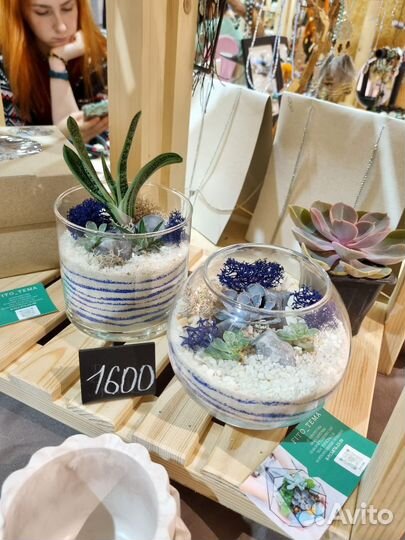 Флорариум комплемент