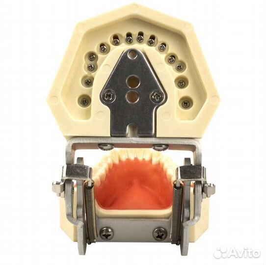 Челюсть фантом