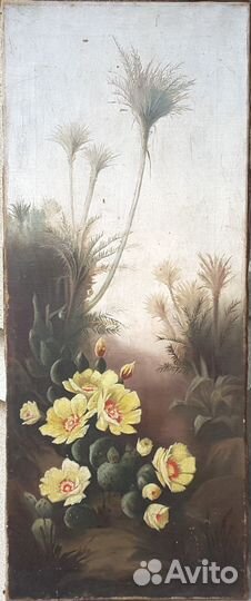 Цветы. Начало 20 го века. Германия