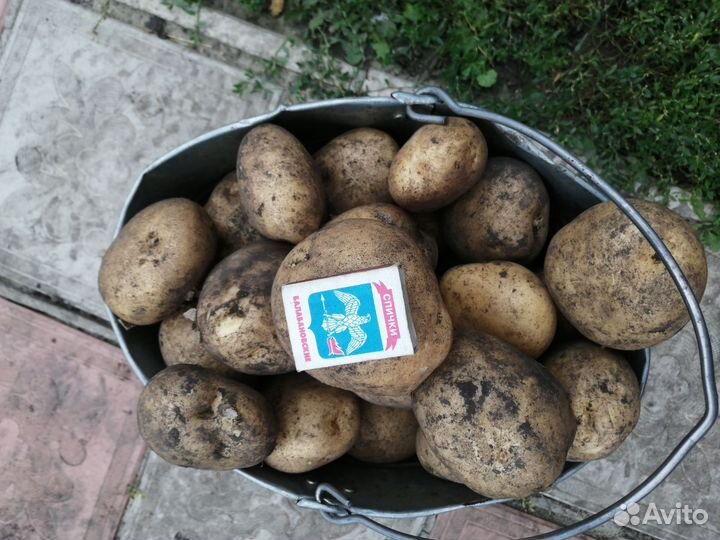 Картофель деревенский