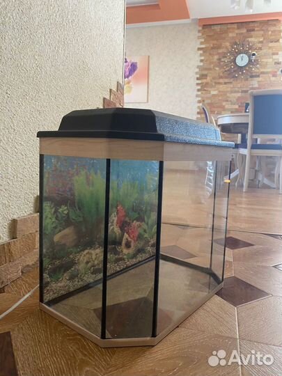 Аквариум с крышкой