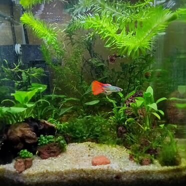 Аквариум кубик 17 л