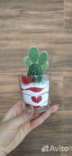 Мастер класс для детей и взрослых - Флорариум