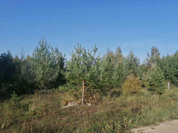 Участок 10 сот. (ИЖС)