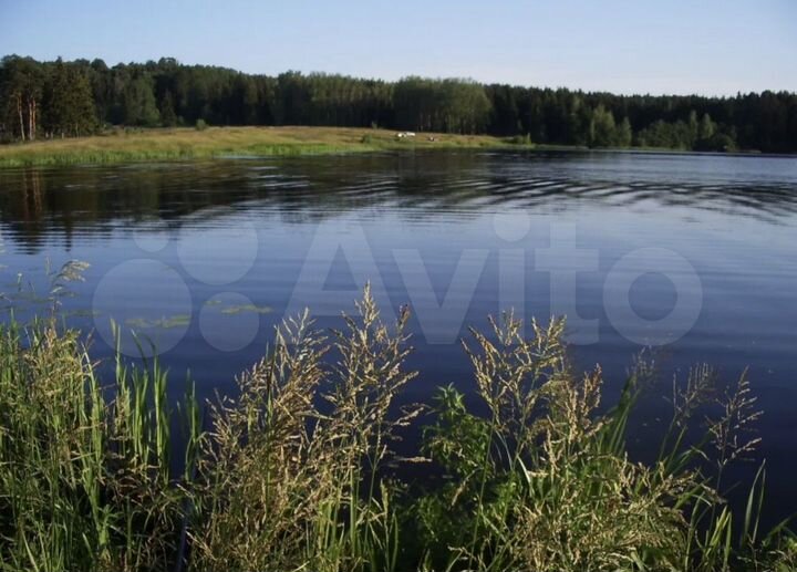 Участок 10 сот. (ИЖС)