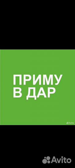 Комнатные растения цветы бесплатно