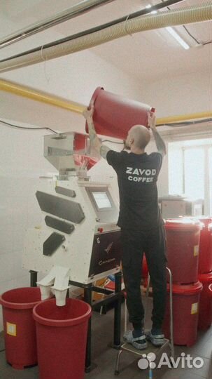 Кофе зерновой оптом Эфиопия Сидамо