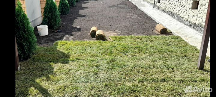 Рулонный,посевной газон,работы по подготовке