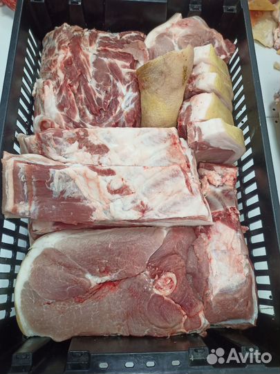 Мясо свинина