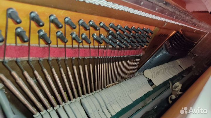 Пианино Аккорд Калуга