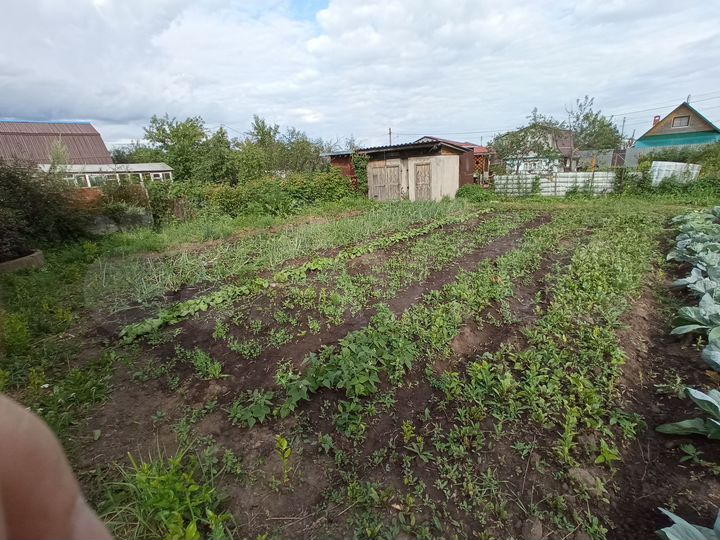 Участок 6 сот. (СНТ, ДНП)