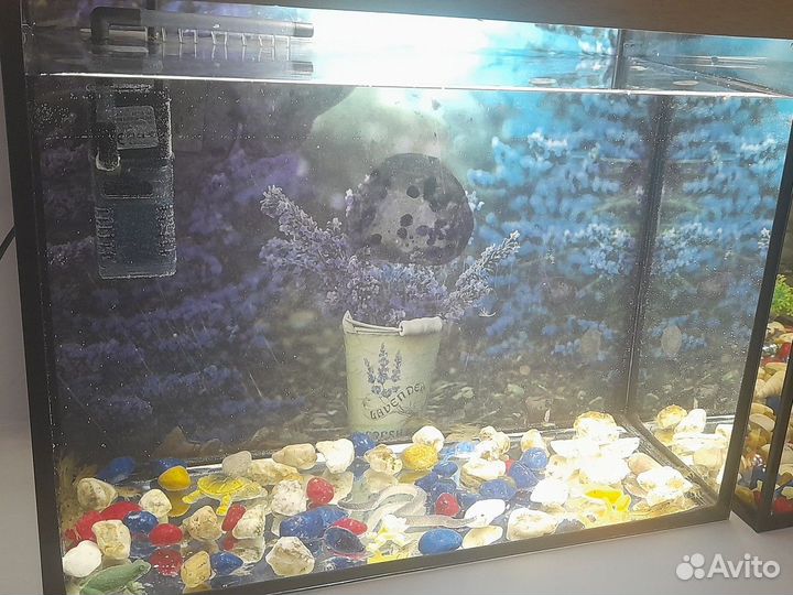 Аквариум со всем содержимым