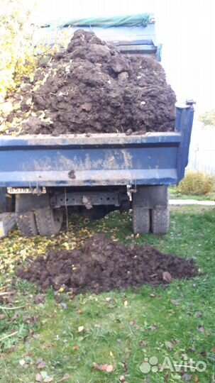 Навоз с совхоза