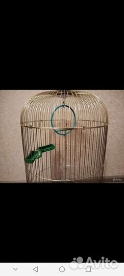 Клетка для попугаев