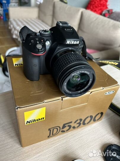 Зеркальный фотоаппарат Nikon D5300
