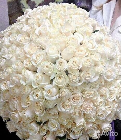 Высокие розы Букеты с доставкой