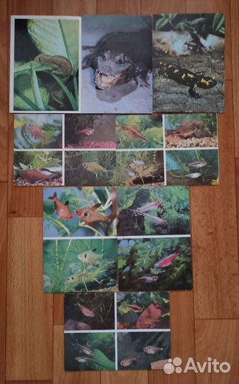 Наборы открыток