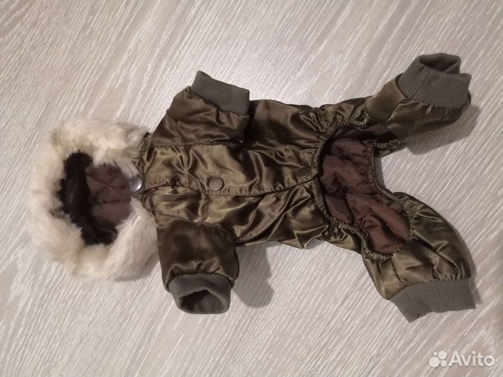 Одежда для маленьких собак