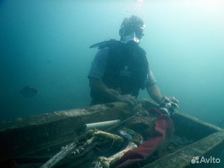 Дайвинг в море в Адлере ежедневно