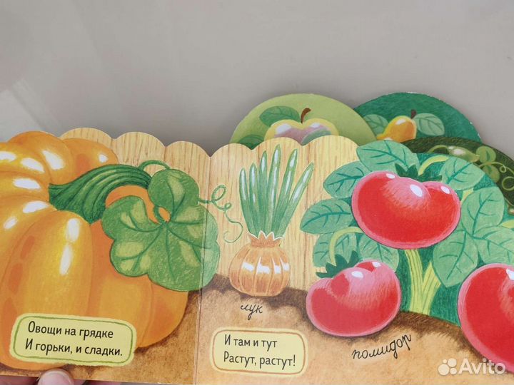 Книга огород