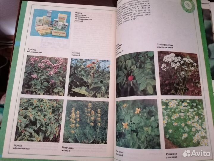 Растения Красной книги СССР. Вахромеева 1990 г