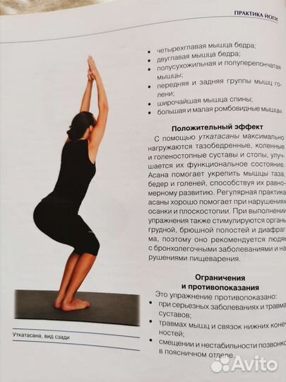 Книга. Йога-анатомия