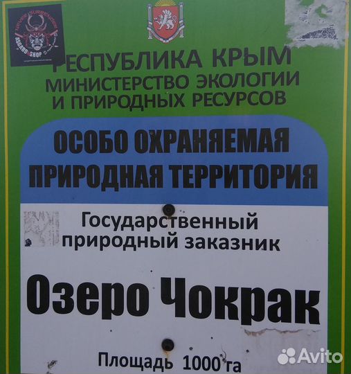 Грязь лечебная озера Чокрак