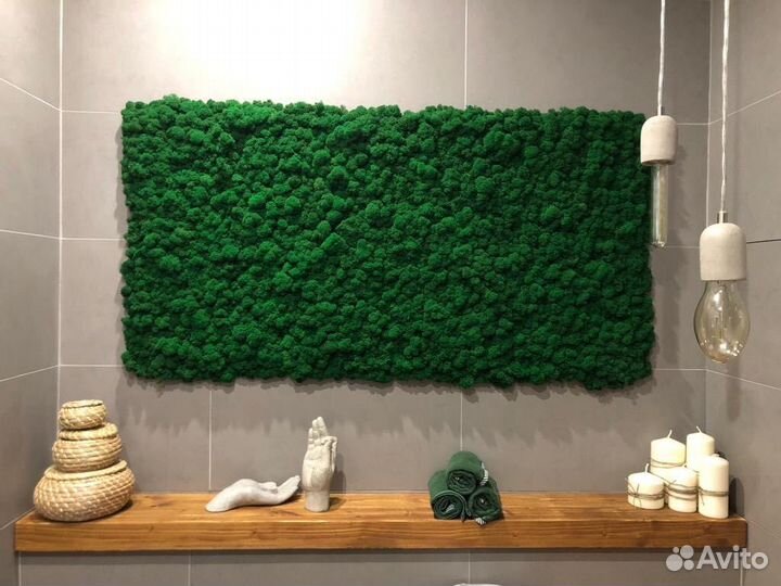 Фитостены из мха стабилизированного. Фитокартины