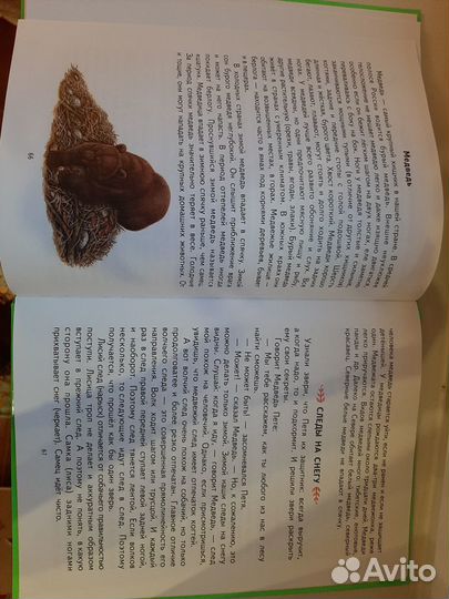 Первая после букваря книга для чтения Н С. Жукова