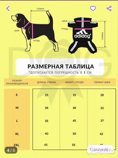 Спортивный костюм для собаки