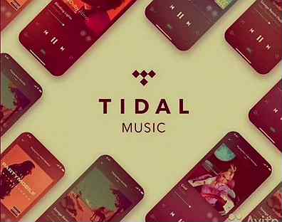 Tidal Hi-Fi Plus 3 месяца USA